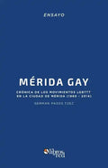 Merida Gay. Cronica de Los Movimientos Lgbttt En La Ciudad de Merida (1960-2014) - Paperback