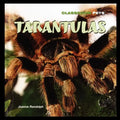 Tarantulas - Paperback