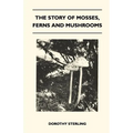 The Story Of Mosses, Ferns And Mushrooms - Paperback