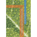 Payments for Ecosystem Services: Scaling Nature-Based Solutions for Sustainable Development and Climate Resilience - Paperback