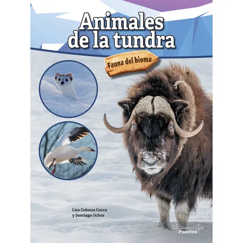 Animales de la Tundra: Tundra Animals - Hardcover