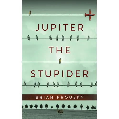 Jupiter the Stupider - Hardcover