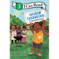 Freedom Celebration: A Juneteenth Party - Hardcover