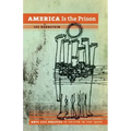 America Is the Prison: Arts and Politics in Prison in the 1970s - Paperback