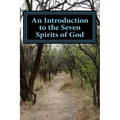 An Introduction to the Seven Spirits of God: Friends you need for the journey of your life - Paperback