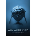 Why Whales Sing - Hardcover