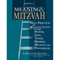 Meaning & Mitzvah: Daily Practices for Reclaiming Judaism Through Prayer, God, Torah, Hebrew, Mitzvot and Peoplehood - Paperback