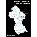 A Voice Crying in the Wilderness - Paperback
