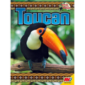 Toucan - Library Binding