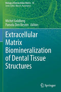Extracellular Matrix Biomineralization of Dental Tissue Structures - Paperback