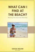 What Can I Find at the Beach? - Paperback