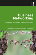 Business Networking: Innovation and Ideas in Theory and Practice - Paperback
