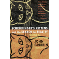Schrodinger's Kittens and the Search for Reality: Solving the Quantum Mysteries Tag: Author of in Search of Schrod. Cat - Paperback