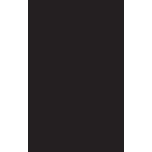A Relatively Painless Guide to Special Relativity - Hardcover