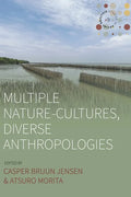 Multiple Nature-Cultures, Diverse Anthropologies - Paperback