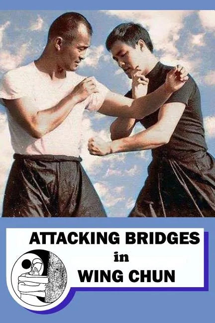Attacking bridges in Wing Chun - Paperback