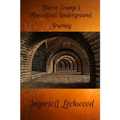 Baron Trump's Marvellous Underground Journey - Paperback