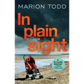 In Plain Sight - Paperback