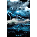 From Torment to Christian Comfort Journeying Through a Psychosis - Paperback