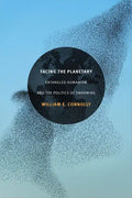 Facing the Planetary: Entangled Humanism and the Politics of Swarming - Paperback