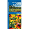 Maryland & DC Trees & Wildflowers: A Folding Pocket Guide to Familiar Plants - Hardcover