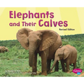 Elephants and Their Calves - Paperback