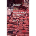 Ancient Maya Economies - Hardcover