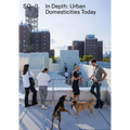 So-Il: In Depth: Urban Domesticities Today - Paperback