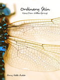 Ordinary Skin: Essays from Willow Springs - Hardcover