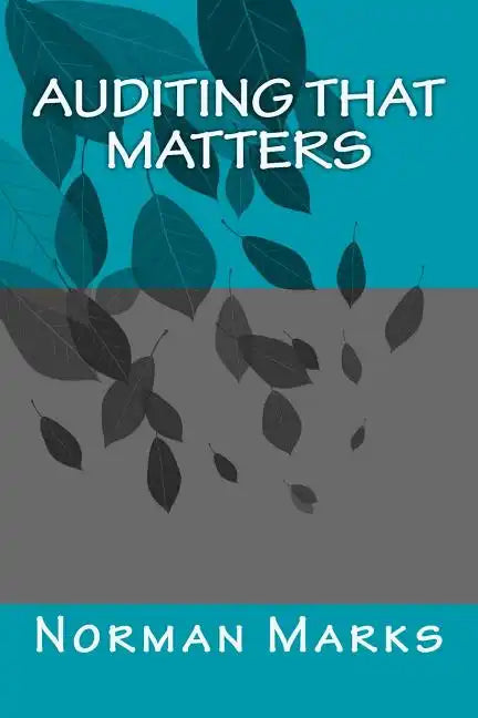 Auditing that matters - Paperback