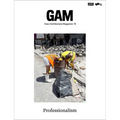 Professionalism - Paperback