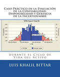 Caso Practico en la Evaluación de la Confiabilidad, Disponibilidad y Gerencia: de la Incertidumbre durante el Ciclo de Vida del Activo - Paperback