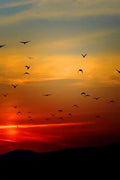 Sunset Flight: Beautiful - Paperback