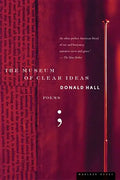 The Museum of Clear Ideas - Paperback