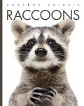 Raccoons - Paperback