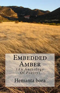 Embedded Amber: Soul- in Search of the Solace - Paperback