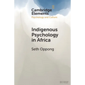 Indigenous Psychology in Africa - Paperback