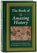 The Book of Amazing History - Hardcover