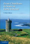 From Chiefdom to State in Early Ireland - Hardcover