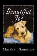 Beautiful Joe - Paperback