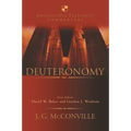 Deuteronomy: An Introduction And Commentary - Hardcover