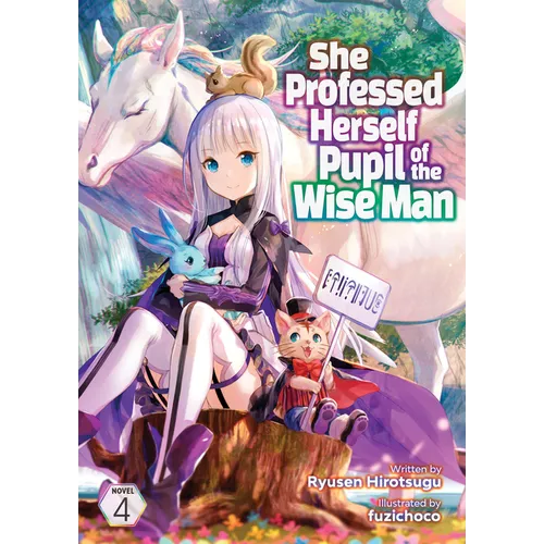 She Professed Herself Pupil of the Wise Man (Light Novel) Vol. 4 - Paperback