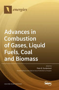 Advances in Combustion of Gases, Liquid Fuels, Coal and Biomass - Hardcover
