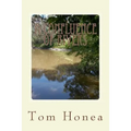 A Confluence Of Rivers: A Story Of The South - Paperback