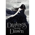 Darkness Before Dawn - Paperback
