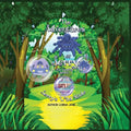 The Adventures of Jerry the Jumping Spider: Jerry's Wild Ride - Paperback