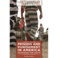 Prisons and Punishment in America: Examining the Facts - Paperback