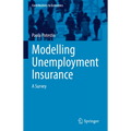 Modelling Unemployment Insurance: A Survey - Paperback