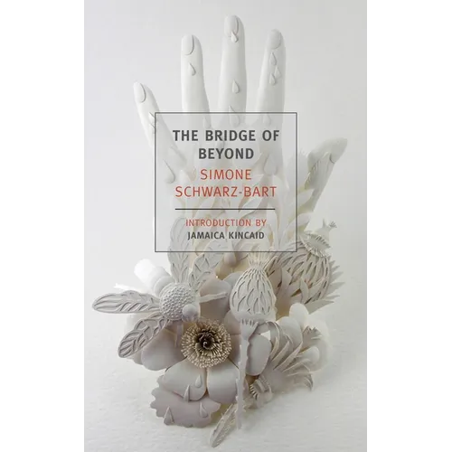 The Bridge of Beyond - Paperback