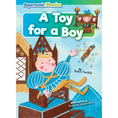 A Toy for a Boy - Paperback